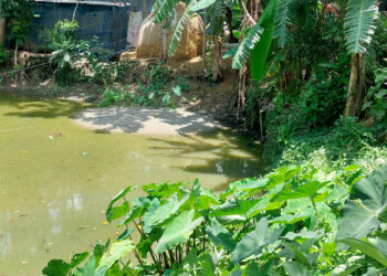 মাদ্রাসার মাঠ তৈরী করতে সরকারি জোলা ভরাটের অভিযোগ