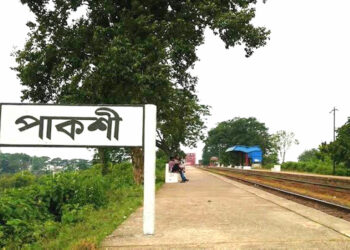 ভিডিও করার সময় ট্রেন থেকে পড়ে প্রাণ গেল শিক্ষার্থীর