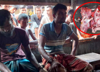মরা গরুর মাংস বিক্রির চেষ্টা: ২ কসাইকে জরিমানা