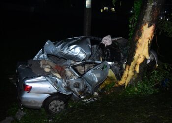 পাবনায় প্রাইভেট কার নিয়ন্ত্রণ হারিয়ে গাছের সঙ্গে ধাক্কায় নিহত ৫ বন্ধু, আহত ২