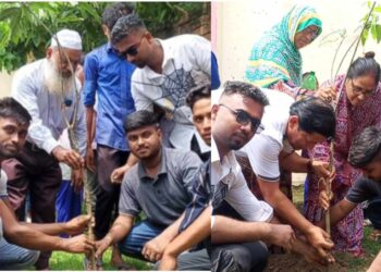 আটঘরিয়ায় উপজেলা ছাত্রদলের বৃক্ষরোপন কর্মসূচি পালন