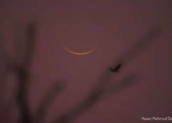 চাঁদ দেখা গেছে, সোমবার ঈদ