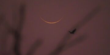 চাঁদ দেখা গেছে, সোমবার ঈদ