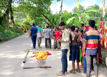 চাটমোহরে ট্রাকচাপায় গৃহবধূ নিহত